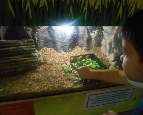 ChildFirst@Dunearn_ScienceCentre_03