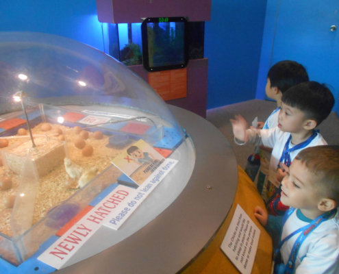 ChildFirst@Dunearn_ScienceCentre_04