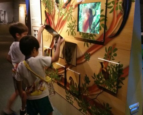 ChildFirst@Dunearn_ScienceCentre_07