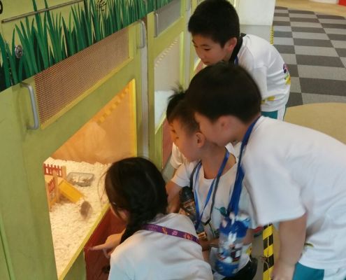 ChildFirst@Dunearn_ScienceCentre_08