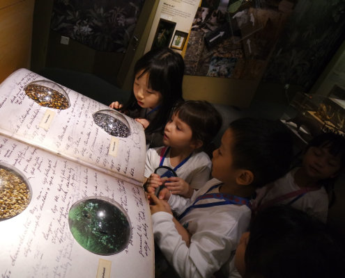 ChildFirst@Dunearn_ScienceCentre_17