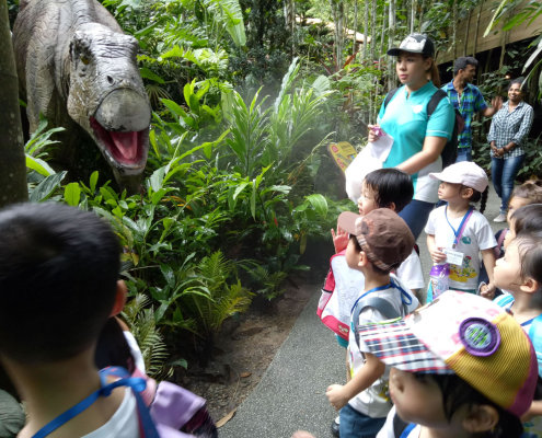 zoo-childfirst-king-albert-park-02