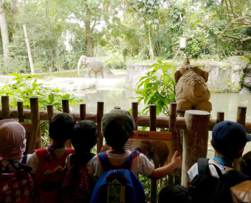 zoo-childfirst-king-albert-park-04