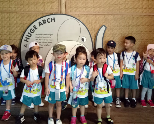 zoo-childfirst-king-albert-park-06