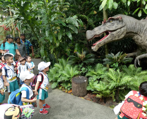 zoo-childfirst-king-albert-park-09