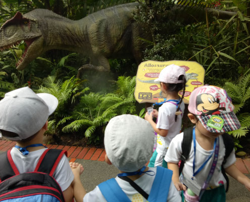 zoo-childfirst-king-albert-park-10