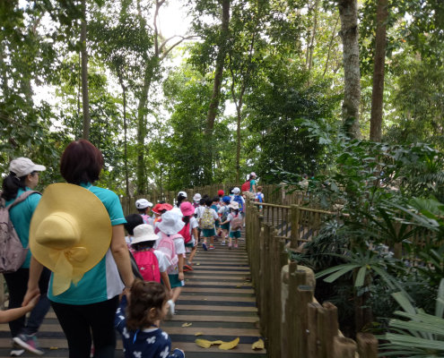 zoo-childfirst-king-albert-park-12