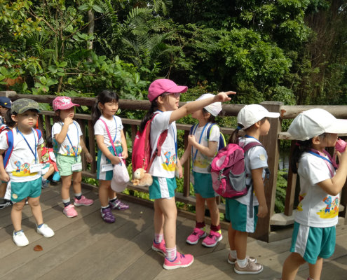 zoo-childfirst-king-albert-park-13