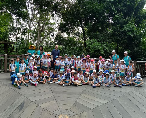 zoo-childfirst-king-albert-park-15