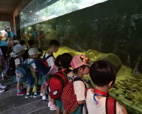 zoo-childfirst-king-albert-park-16