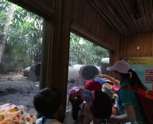 zoo-childfirst-king-albert-park-17