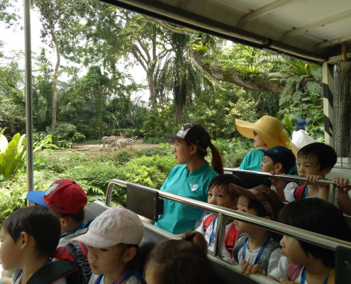 zoo-childfirst-king-albert-park-18