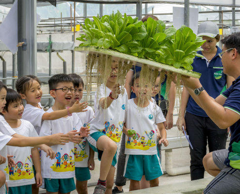 kokfah-technology-farm-childfirst-mountbatten-01