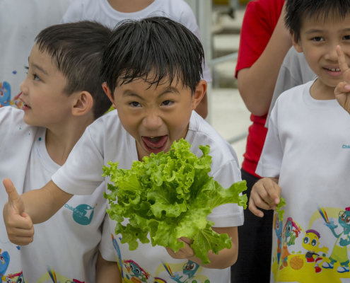 kokfah-technology-farm-childfirst-mountbatten-02