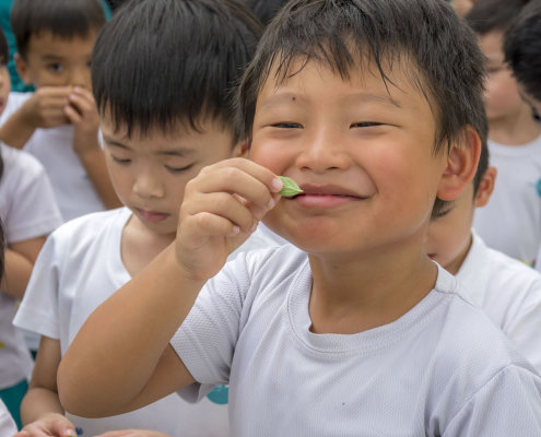 kokfah-technology-farm-childfirst-mountbatten-03