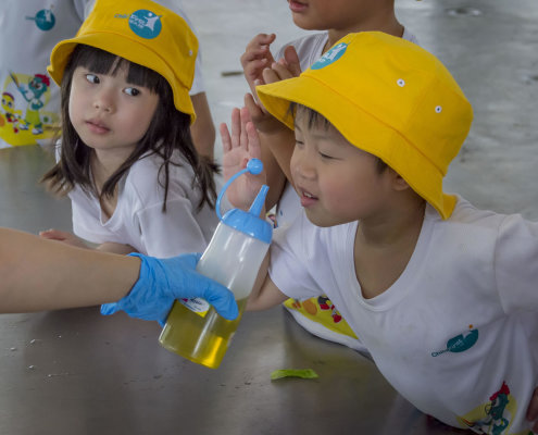 kokfah-technology-farm-childfirst-mountbatten-04