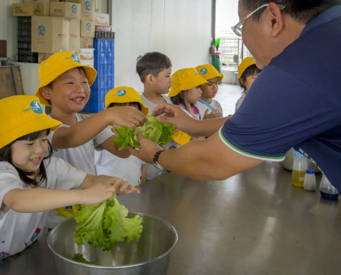 kokfah-technology-farm-childfirst-mountbatten-06