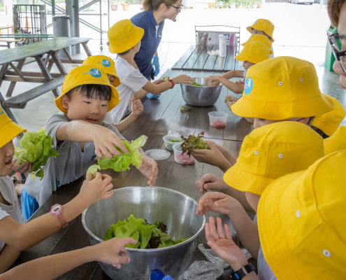 kokfah-technology-farm-childfirst-mountbatten-08