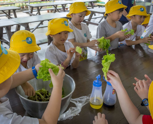 kokfah-technology-farm-childfirst-mountbatten-09