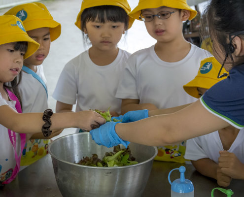 kokfah-technology-farm-childfirst-mountbatten-10