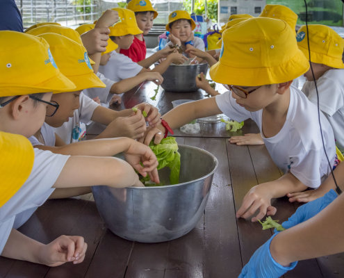 kokfah-technology-farm-childfirst-mountbatten-11