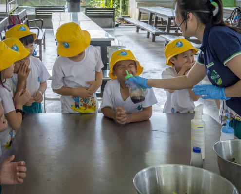 kokfah-technology-farm-childfirst-mountbatten-12