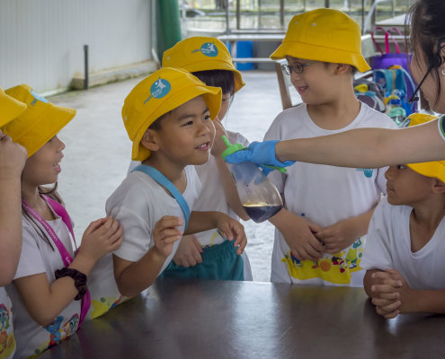 kokfah-technology-farm-childfirst-mountbatten-13