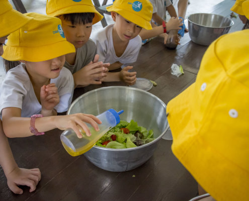 kokfah-technology-farm-childfirst-mountbatten-14