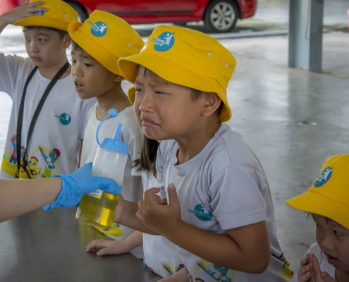 kokfah-technology-farm-childfirst-mountbatten-15