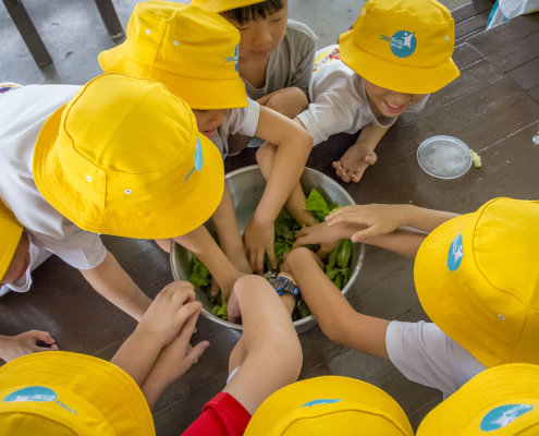 kokfah-technology-farm-childfirst-mountbatten-16