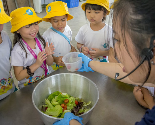 kokfah-technology-farm-childfirst-mountbatten-17