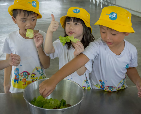 kokfah-technology-farm-childfirst-mountbatten-18