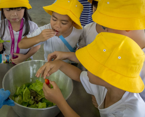 kokfah-technology-farm-childfirst-mountbatten-19