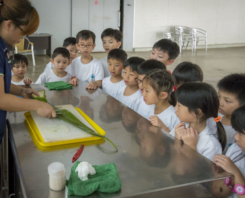 kokfah-technology-farm-childfirst-mountbatten-20