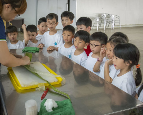 kokfah-technology-farm-childfirst-mountbatten-21