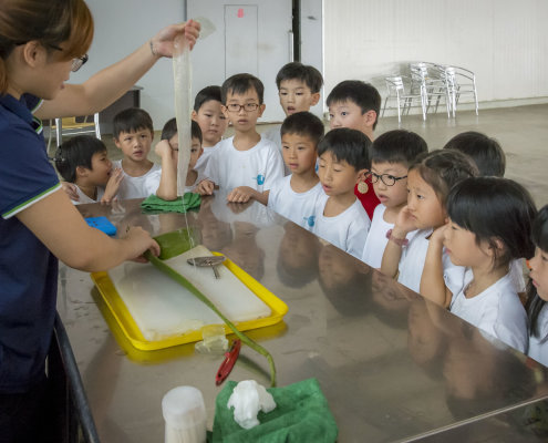 kokfah-technology-farm-childfirst-mountbatten-22