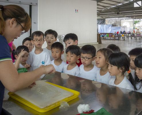 kokfah-technology-farm-childfirst-mountbatten-23