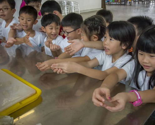 kokfah-technology-farm-childfirst-mountbatten-25