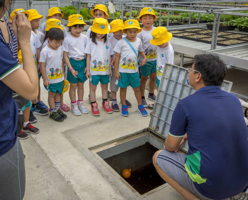 kokfah-technology-farm-childfirst-mountbatten-26