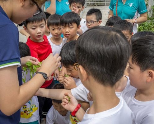 kokfah-technology-farm-childfirst-mountbatten-30