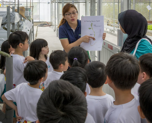 kokfah-technology-farm-childfirst-mountbatten-34