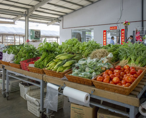 kokfah-technology-farm-childfirst-mountbatten-38