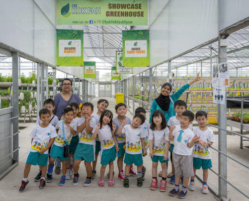 kokfah-technology-farm-childfirst-mountbatten-39