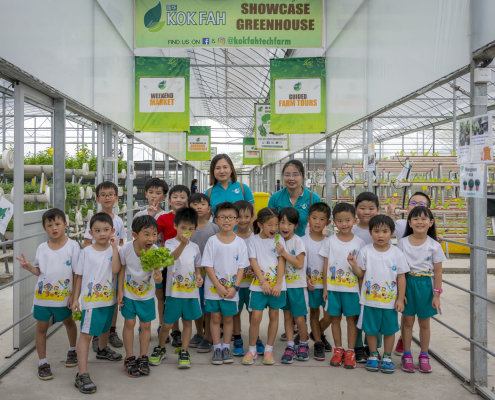 kokfah-technology-farm-childfirst-mountbatten-40