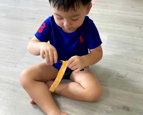 king-albert-park-show-tell-may-13