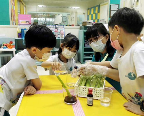 mountbatten-plant-experiment-july-01