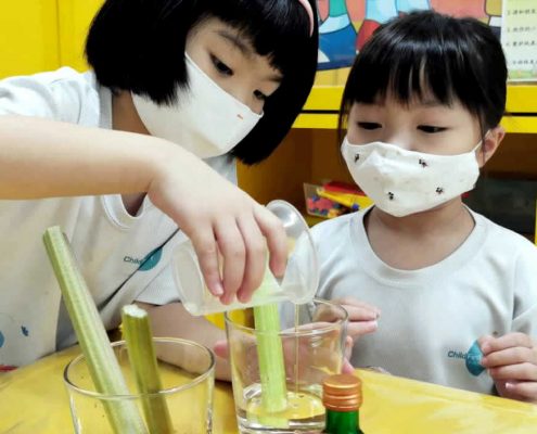 mountbatten-plant-experiment-july-02