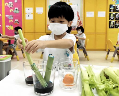 mountbatten-plant-experiment-july-03