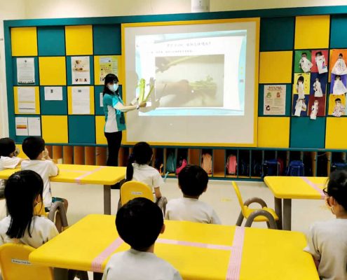 mountbatten-plant-experiment-july-04