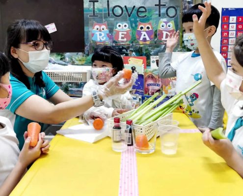 mountbatten-plant-experiment-july-05